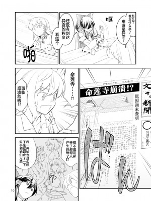 [白杨汉化组] [風前ランプ (フウザサ)] 氷精一過 (東方Project) [DL版]_07