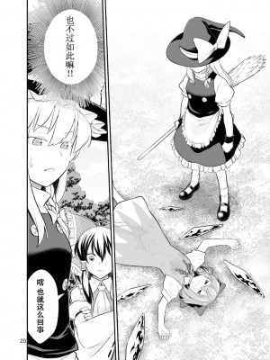 [白杨汉化组] [風前ランプ (フウザサ)] 氷精一過 (東方Project) [DL版]_17