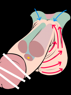 [ねこあらし (也な)] ふたなり、ってナニ？ [DL版]_152