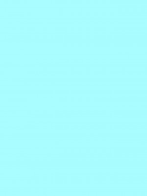 [性肉店 (肉)] 発情きーつね❤ (白上フブキ) [DL版]_24_24