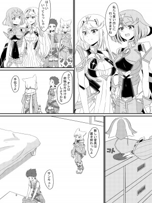 [ShaDraw (かげみや)] にゃんにゃんニアちゃん本 (ゼノブレイド2) [DL版]_08