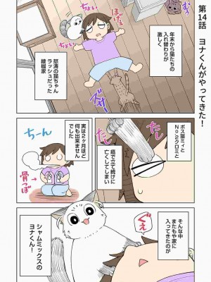 COMIC アナンガ・ランガ Vol.86_223