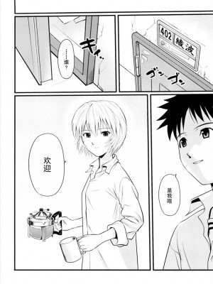 [渣渣汉化组] [Maniac Street, Homunculus (AL, ブラックオリーブ)] リセット (Undercover Brothers) (新世紀エヴァンゲリオン)_049