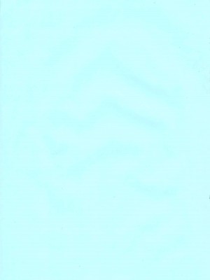 [新井大器] ただただSEXが好き_247