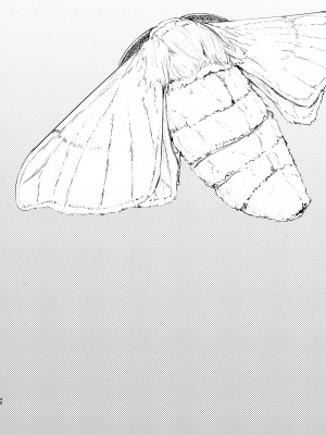 [鮭缶メモリアル (ソロピップB)] 白襲総集編 衣 [DL版]_041