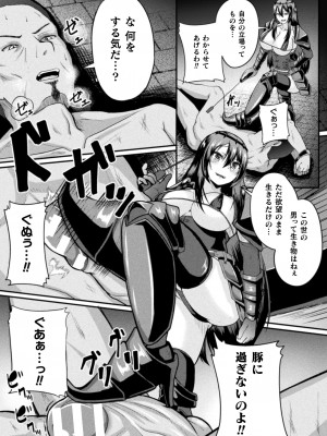 [衝撃の平山] 戦乙女セクストリーム [DL版]_066