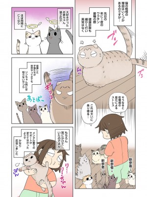 アナンガ・ランガ Vol. 87_252