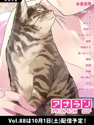 アナンガ・ランガ Vol. 87_316