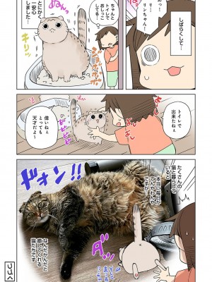 アナンガ・ランガ Vol. 87_254