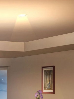 [自由いんぽん党 (森乃くま) ] 元ヤン更生NTR!!～大好きな初めてできた彼氏に命令されてパパ活をしたら冴えないオジサンに寝取られちゃった元ヤンひなのちゃん!!～_1829