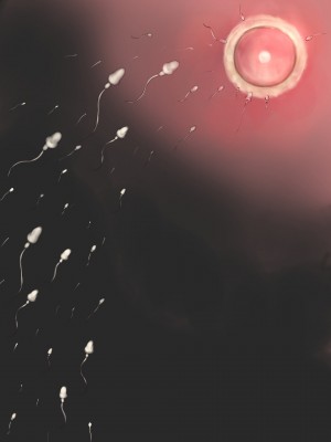 [ミリンコウ] 父と娘の妊活エピソード集 ～続・父と娘が近親相姦する話～_239