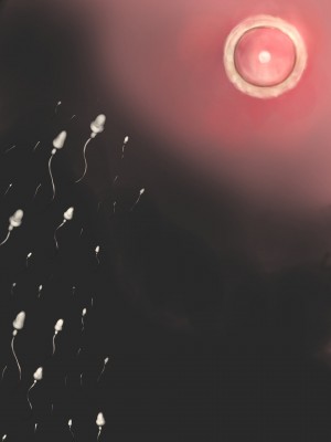 [ミリンコウ] 父と娘の妊活エピソード集 ～続・父と娘が近親相姦する話～_238