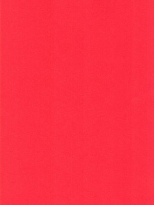 [猛茸大収穫祭 (越後屋タケル)] オレの同期が♀だったらしい+れない (ハンター×ハンター)_0003