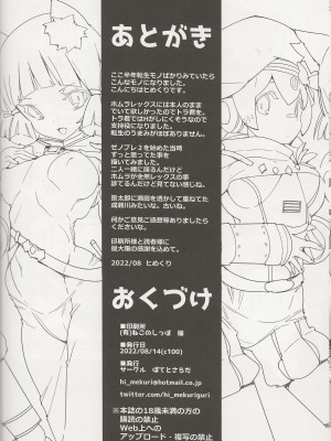 (C100) [ぽてとさらだ (ヒめくり)] ホムラほめのび (ゼノブレイド2)_29