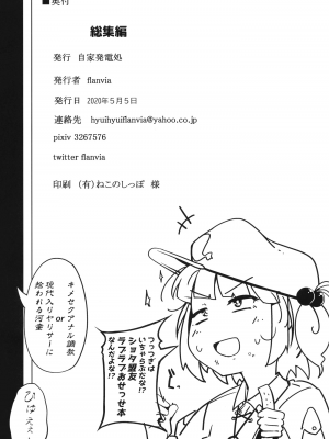 (C98) [自家発電処 (flanvia)] 総集編 (東方Project)_113