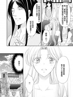 [七里慧 ／ 御堂志生 ／ 葉月夏加] 砂漠の王子と海賊姫｜沙漠王子与海盗公主 [莉赛特汉化组]_021