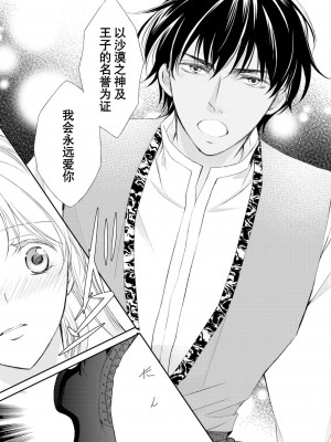 [七里慧 ／ 御堂志生 ／ 葉月夏加] 砂漠の王子と海賊姫｜沙漠王子与海盗公主 [莉赛特汉化组]_126