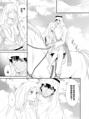 [七里慧 ／ 御堂志生 ／ 葉月夏加] 砂漠の王子と海賊姫｜沙漠王子与海盗公主 [莉赛特汉化组]_088