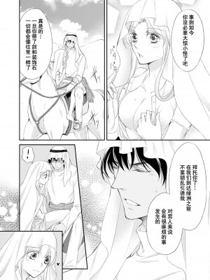 [七里慧 ／ 御堂志生 ／ 葉月夏加] 砂漠の王子と海賊姫｜沙漠王子与海盗公主 [莉赛特汉化组]_089