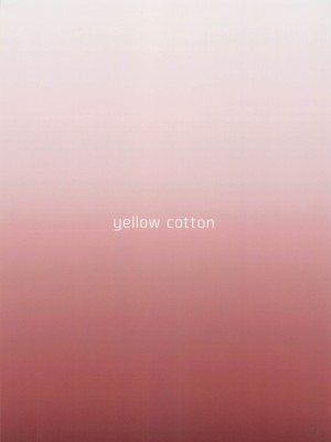 [yellowcotton (あおやまきいろ。)] 佐倉家は壊れました。[wxysz个人汉化]_28