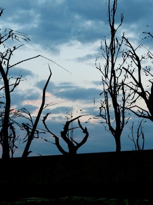 [HoneyHappy] Tifa Rape by Zombies_0266