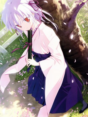 [Artbook] 八宝備仁画集 紅蝶_72