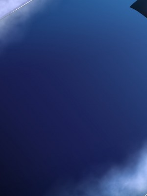 [妄想Caution (ダイアル)] Xスレイブ -Hステータス妄想CG集-_697