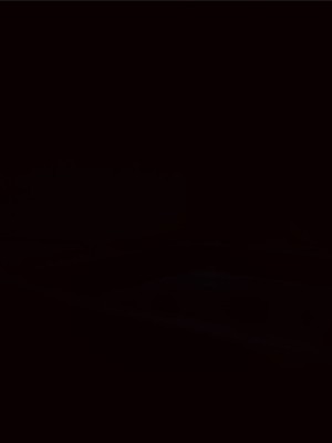 [MAG館 (v-mag)] 屋根裏DVD ～中出し専用人妻物件 入居者募集中～ [中国翻訳] [無修正]_485