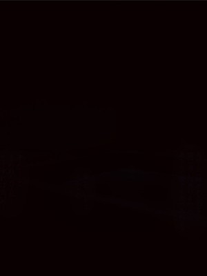 [MAG館 (v-mag)] 屋根裏DVD ～中出し専用人妻物件 入居者募集中～ [中国翻訳] [無修正]_484