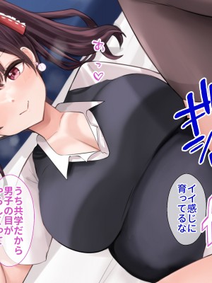 [NIKU LABO] チンポ好きのパパ活JK拾ってオジさん部屋で孕ませセックスの日々_334