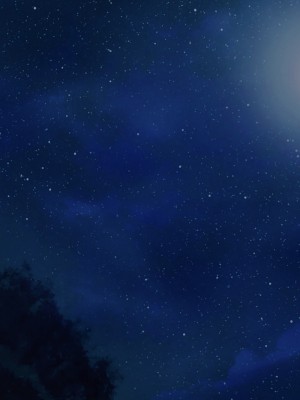 [NIKU LABO] チンポ好きのパパ活JK拾ってオジさん部屋で孕ませセックスの日々_365