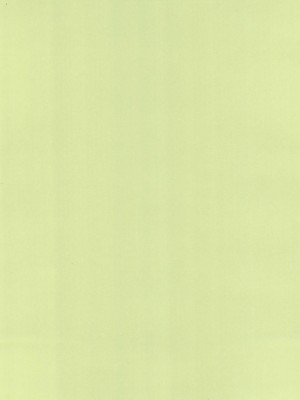 (C100) [えろり屋 (たまちゆき)] ふたりきりの停止世界_04