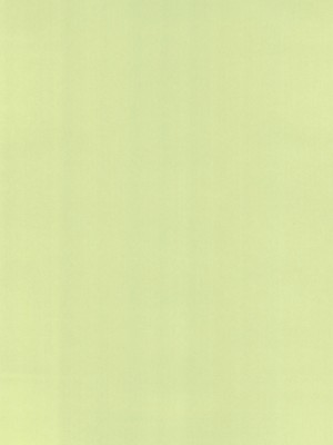 (C100) [えろり屋 (たまちゆき)] ふたりきりの停止世界_70