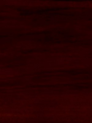 [A輪] 狩獵者日記 X 蒙眼姬_0185