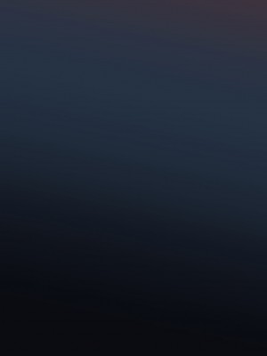 [殿様ペンギン] 傷心ギャルを寝取って孕ませたい！！_308