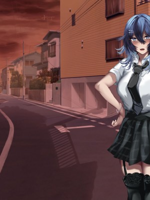 [殿様ペンギン] 傷心ギャルを寝取って孕ませたい！！_269