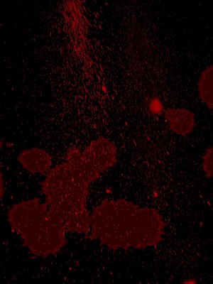 [重口不适勿点]欲海情魔03_067