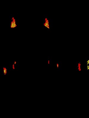 [重口不适勿点]欲海情魔04_185