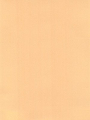 (C85) [梃屋 (矢継梃子)] 椛嬲り (東方Project)_26