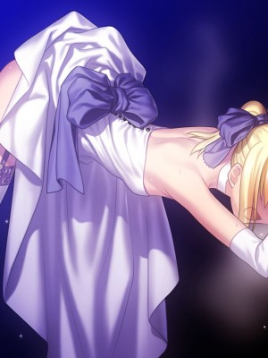 [Type-Moon]Fate／Stay Night_Fate_VN_26