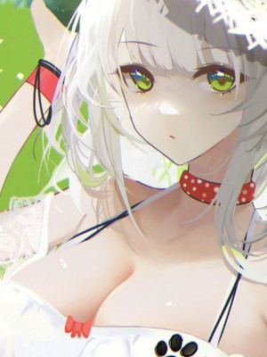 ◆FANBOX◆ 阿戈魔AGM_248