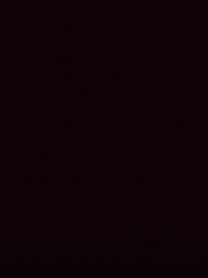 [NT00]ゆみ(中国翻訳) 2022.03-2022.11(大鲫鱼个人机翻润色)_110