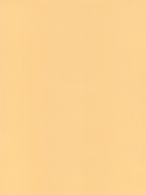 (C94) [O.RIginal brand (O.RI)] GALIUSS2_02