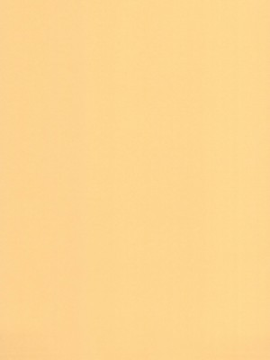 (C94) [O.RIginal brand (O.RI)] GALIUSS2_35