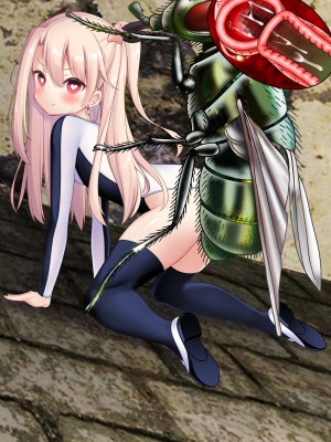 [女騎士の城] 着せ替え☆魔法少女III 異種姦&蟲姦&触手姦 [RJ378588]_0723_0078