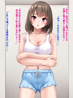 [あっぱーきゃんでぃー (シノブ)]&nbsp;&nbsp;スケベなJK妹と禁断の生ハメプレイ♪_004