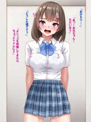 [あっぱーきゃんでぃー (シノブ)]&nbsp;&nbsp;スケベなJK妹と禁断の生ハメプレイ♪_219