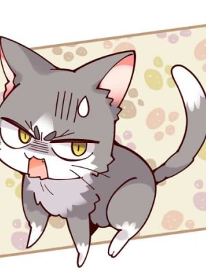 [ゆずソフト] 喫茶ステラと死神の蝶 SD_SD401AC