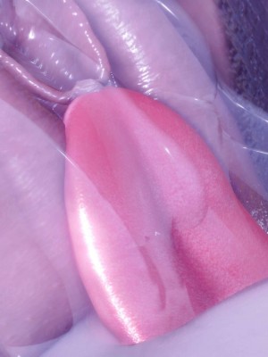 [衣一] 侍奉女神 - 杜詩妍場合 1-3_0832