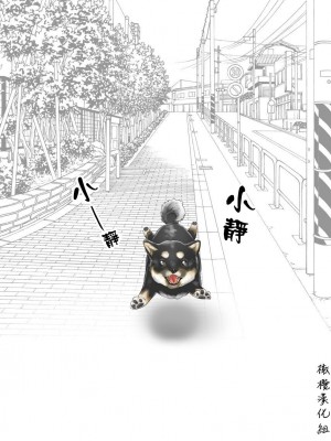 [usa] 静山夫妇 [橄榄汉化组]_52